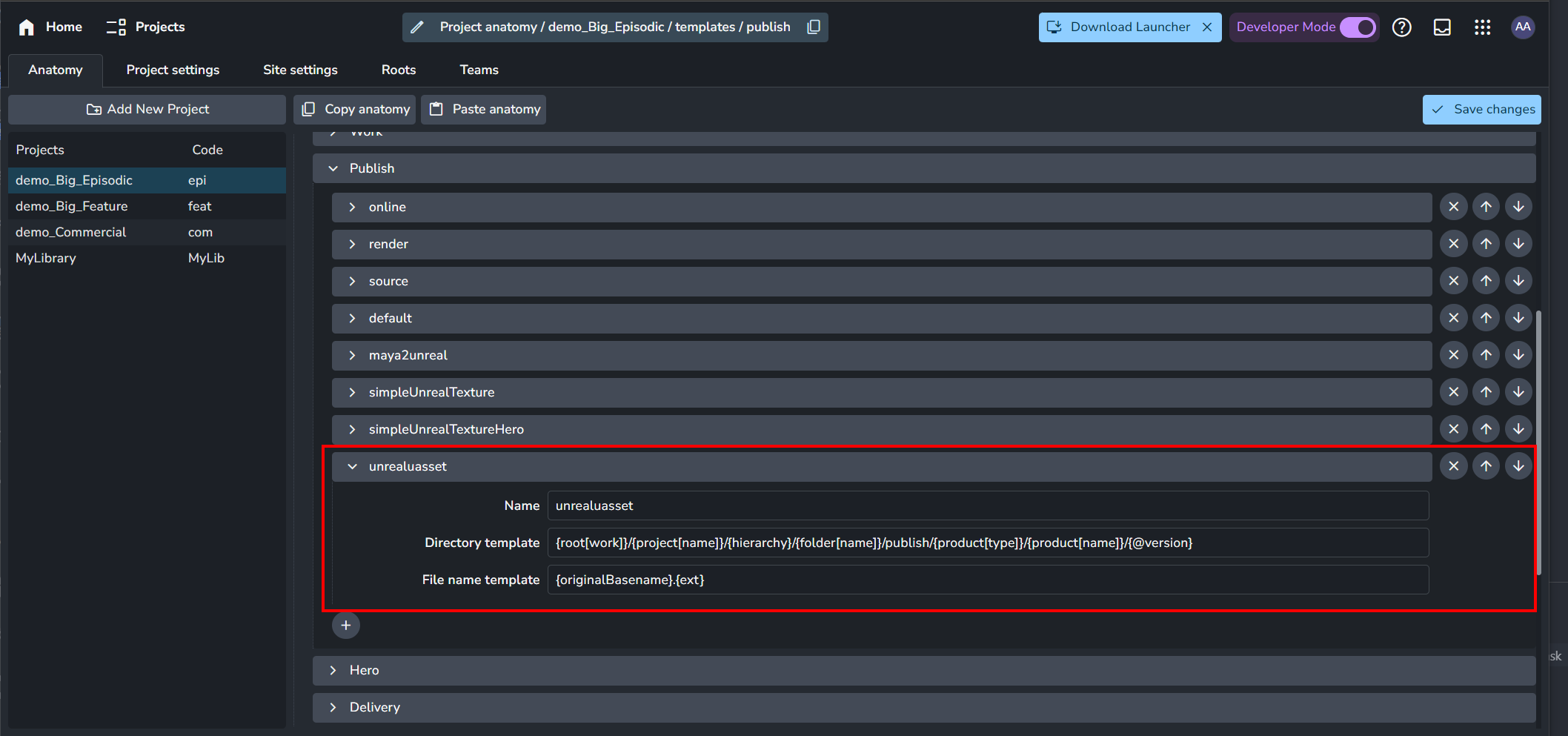 Unreal AYON UAsset Template Project Setting